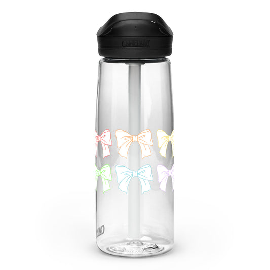 Sports water bottle